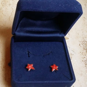 Ohrstecker Seestern