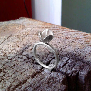 Ring «Capsula»