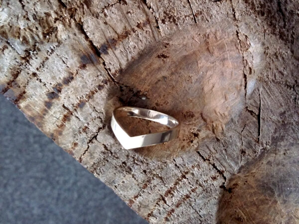 Ring «Zugvogel»
