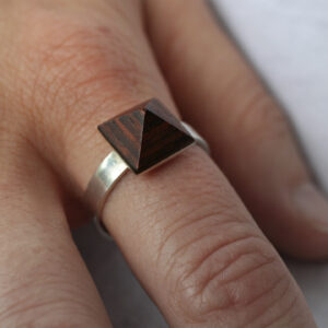Ring «TerraX»