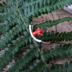 Ring «Aquarium»